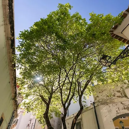 1e Brand New Right In The Heart Of Alfama Apartment Lisbon